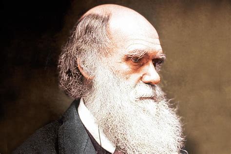 Charles Darwin on Design in Creation